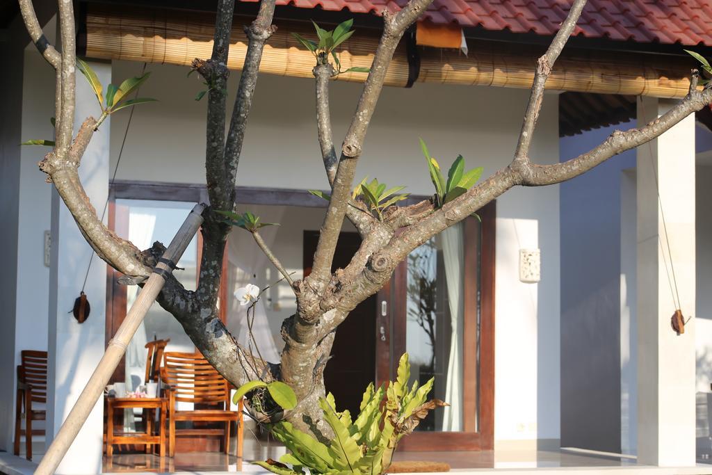 Soka Amed Beach Bilik gambar